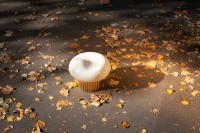 Jennifer Midoz – Merveilleux