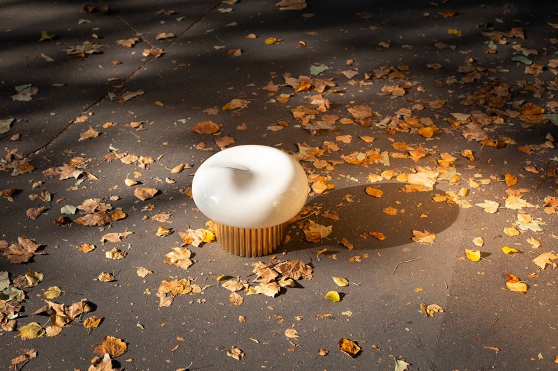 Jennifer Midoz – Merveilleux