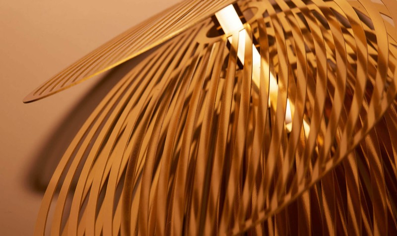 Jennifer Midoz – Orchidée Ajourée