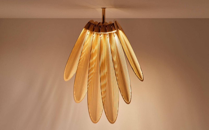 Jennifer Midoz – Orchidée Ajourée