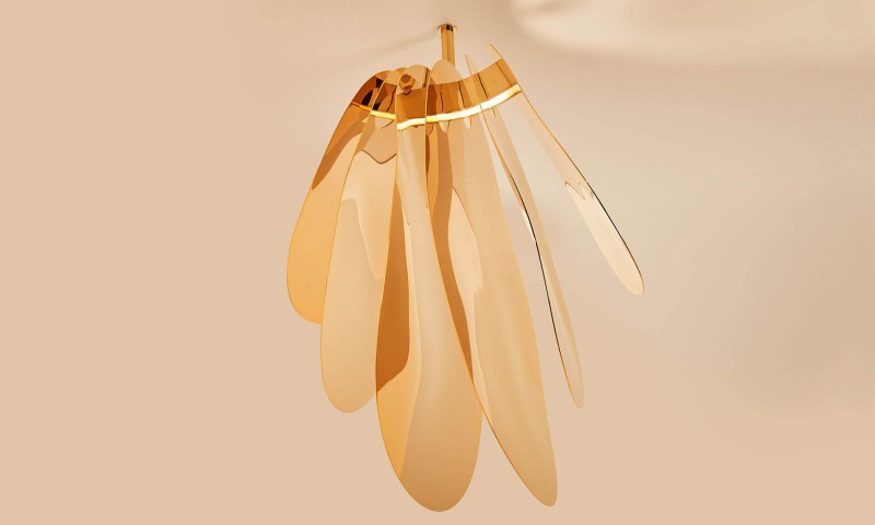 Jennifer Midoz – Orchidée